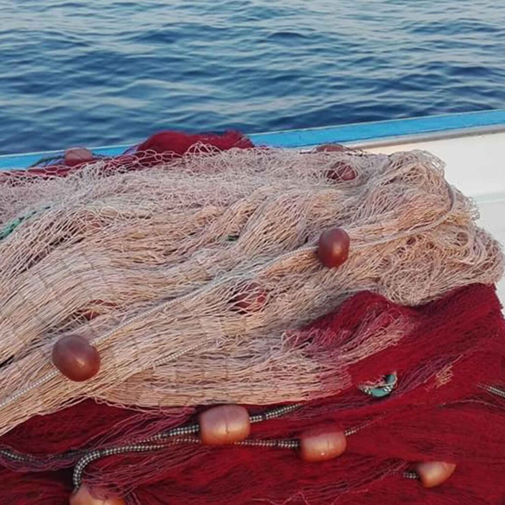 Centola-Palinuro, viaggio enogastronomico e culturale tra dieta mediterranea e identità marinara