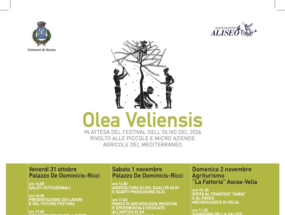 Ad Ascea prende il via “Olea Veliensis”: tre giornate dedicate all’olivo e alla cultura mediterranea