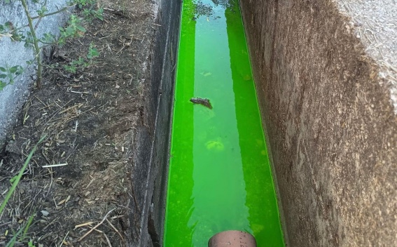 Capaccio Paestum, scarico illecito di liquami: tre imprenditori denunciati e aree sequestrate