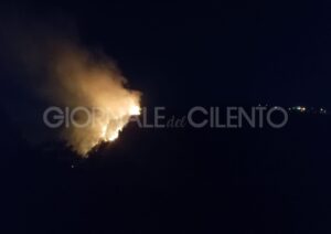 Incendio a Tortorella, distrutti 15 ettari di macchia mediterranea e pineta