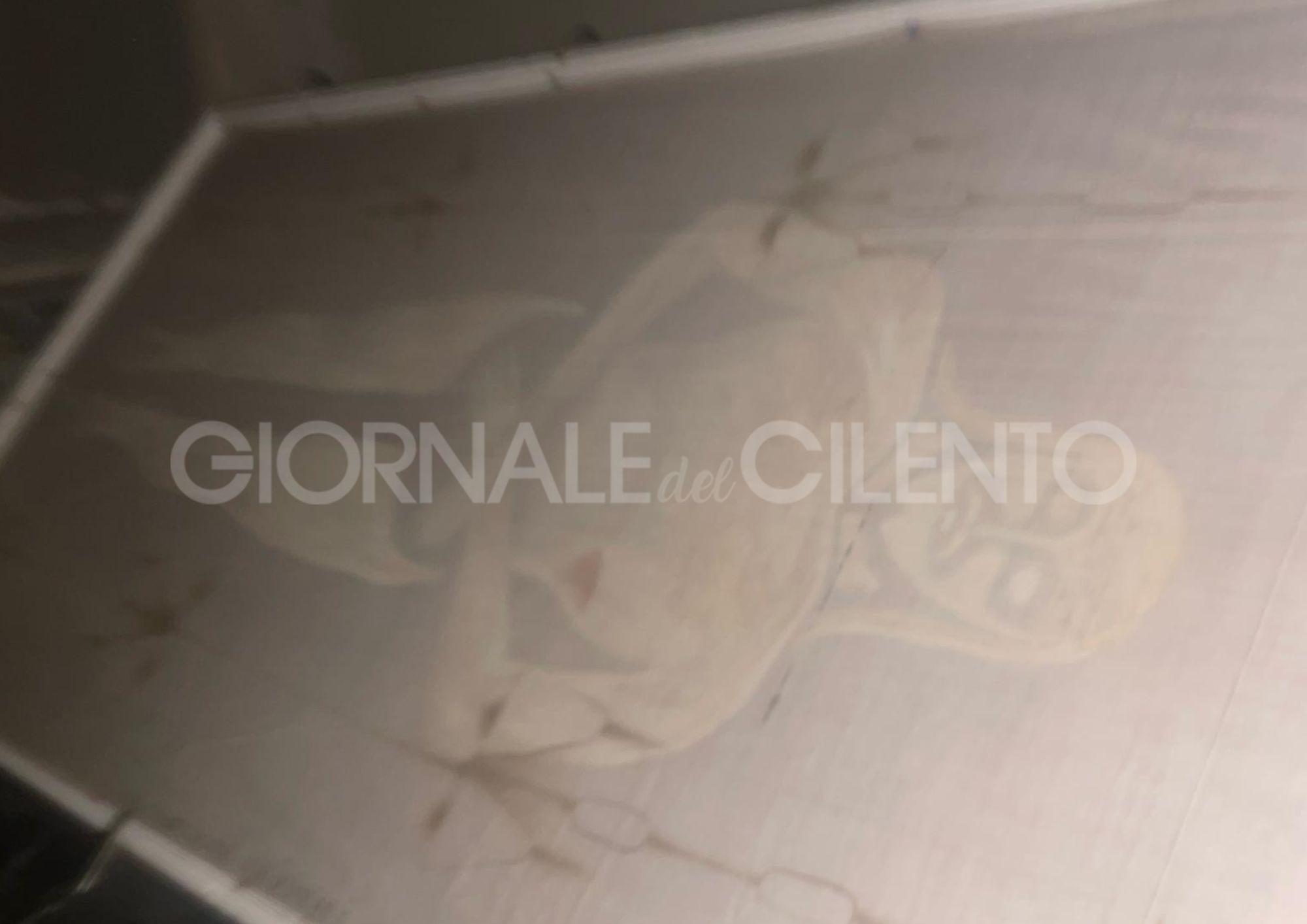 La “Sindone Salernitana” protagonista di studi ed esposta al Museo Diocesano