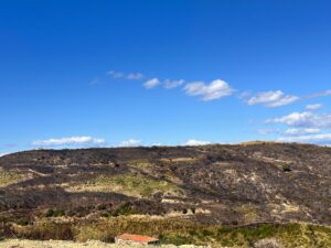 Incendio devastante a Laureana Cilento: distrutti 14 ettari di macchia mediterranea