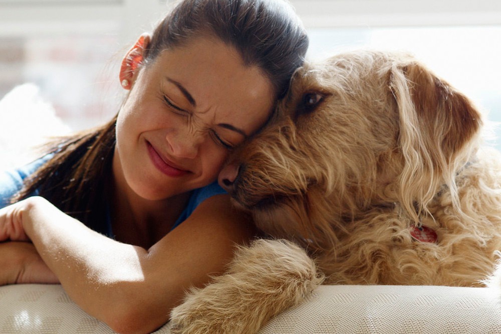Adottare un cucciolo da un canile: la guida pratica