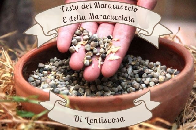 Nasce “Sementa”: una associazione culturale per valorizzare il territorio cilentano