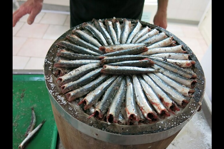 Cetara, le alici che raccontano il mare della Costiera Amalfitana