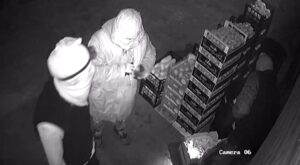Capaccio Paestum, colpo notturno al mercato ortofrutticolo: banda svaligia sette box