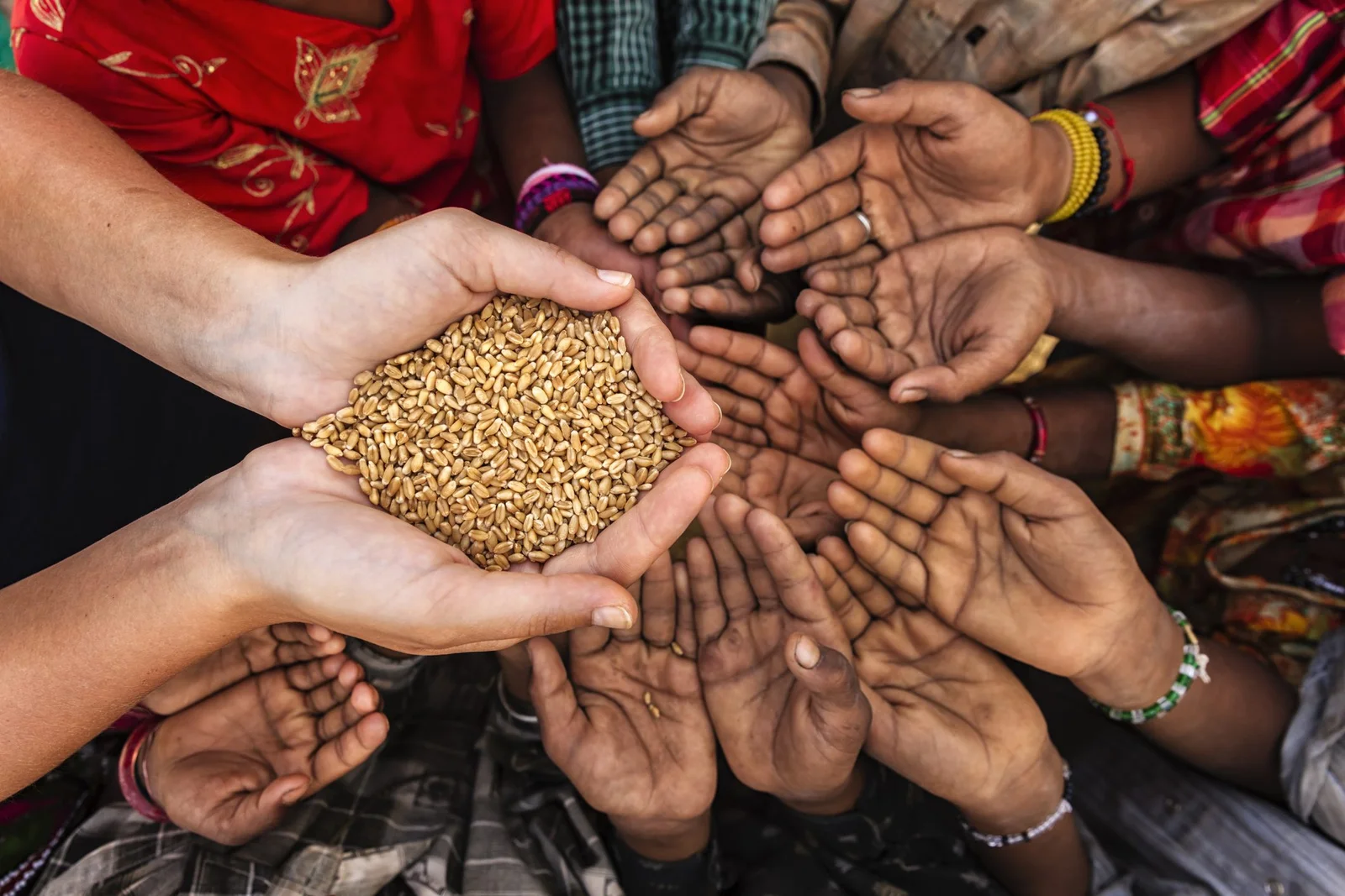 Il mondo unito contro la fame: la Fao celebra la Giornata mondiale dell’alimentazione 2025