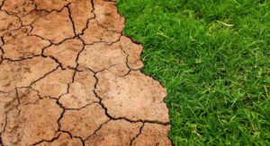 Rapporto Ispra 2025, Slow Food Italia sul consumo di suolo: «Continuiamo a distruggere una risorsa indispensabile alla vita»