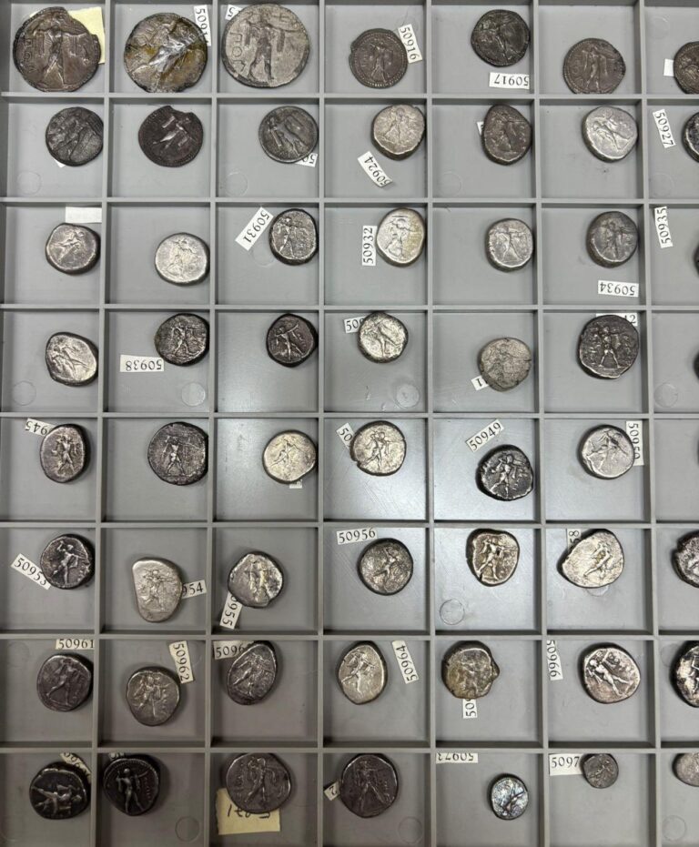 La collezione numismatica Sallusto torna a casa al Museo Archeologico Nazionale di Paestum