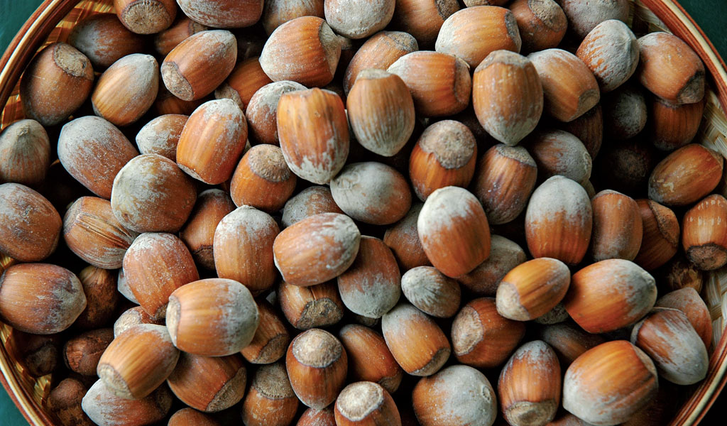 Nocciola, l’energetico naturale che fa bene al cuore