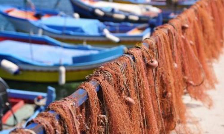 Pesca, Lega: intervento su fermo pesca per tutelare imprese settore, interrogazione