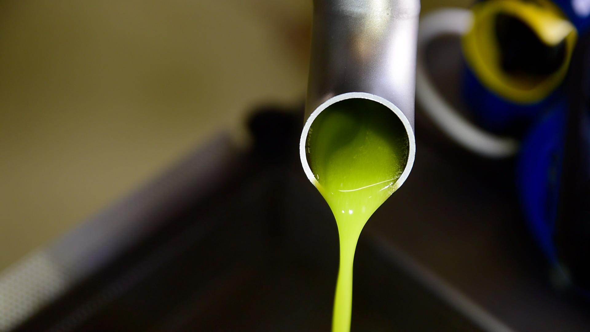 Olio extravergine d’oliva: a crudo o cotto? tutte le differenze nel piatto e in cucina