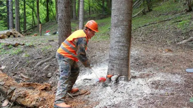 «Cessazione dei rapporti di lavoro 2025: niente stabilizzazione per gli OTD idraulico-forestali della provincia di Salerno»