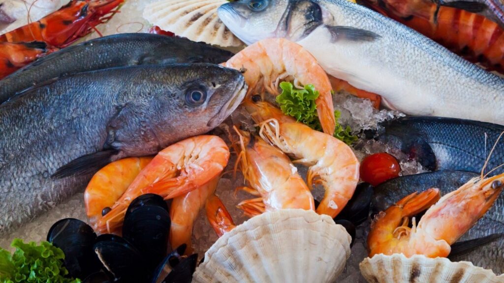 Federittici Fenailp Salerno: nasce la nuova casa delle imprese del mare