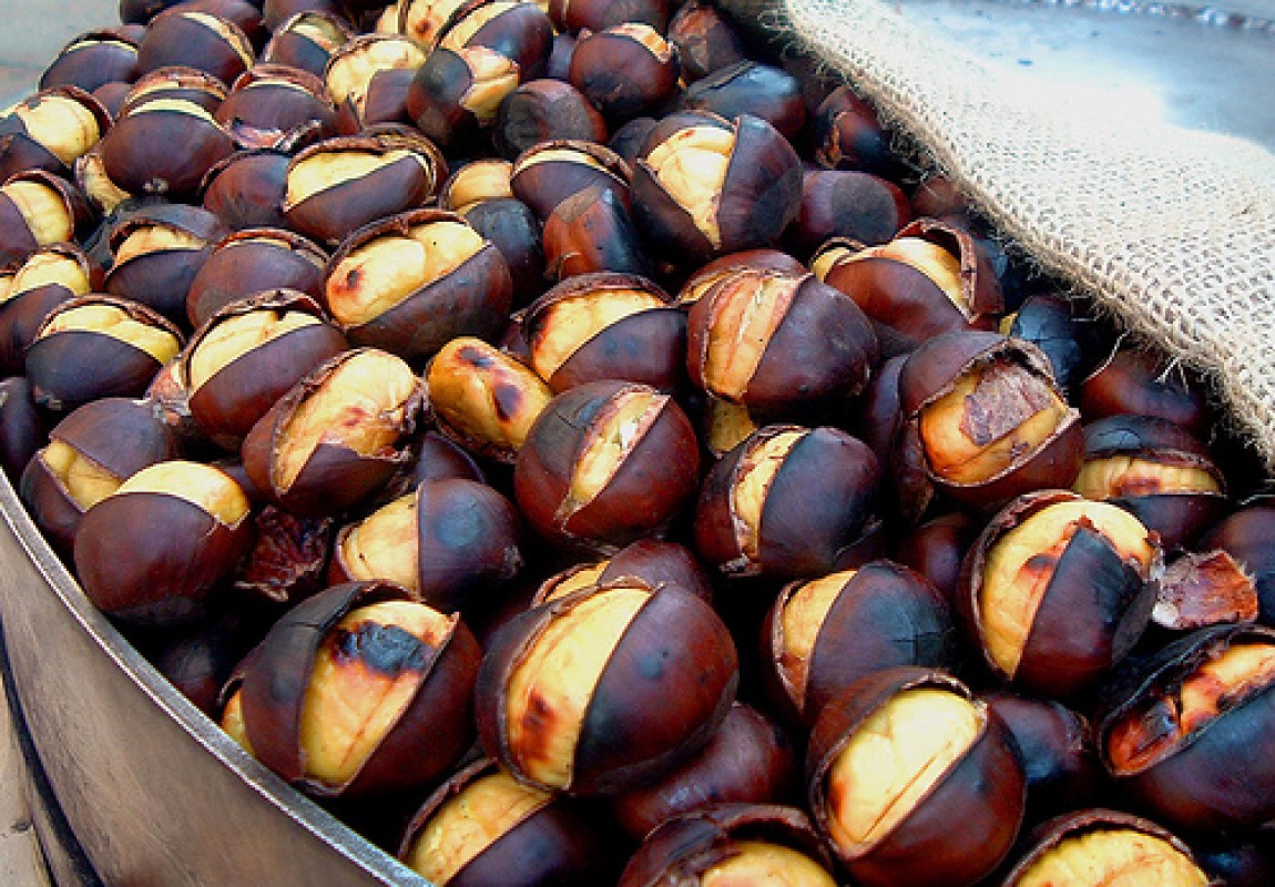 Itineraio nei borghi della Campania dove le castagne sono regine