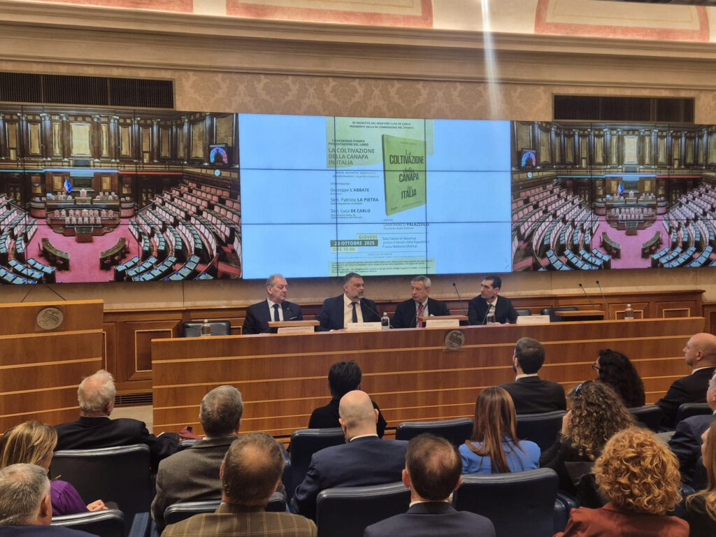 Agricoltura: il Masaf pronto a riattivare il tavolo di filiera della canapa industriale