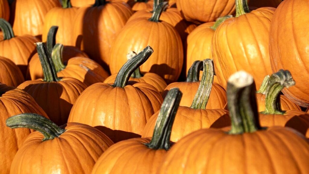 L’arancione che fa bene alla salute: la zucca, sintesi di gusto e salute