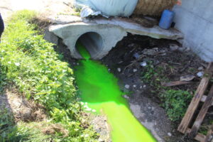 Denunciato imprenditore per smaltimento illecito di rifiuti e abusivismo edilizio: sequestrata l’azienda bufalina