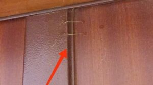 Cilento, nuova ondata di furti: ora i ladri sperimentano nuove tecniche