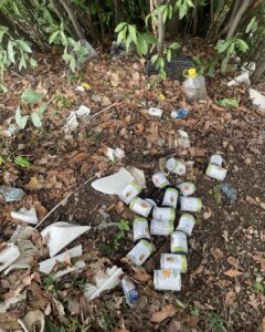 Altavilla Silentina, pacchi alimentari gettati via. Cembalo: «Inaccettabile. Chi non ne ha bisogno, rinunci»