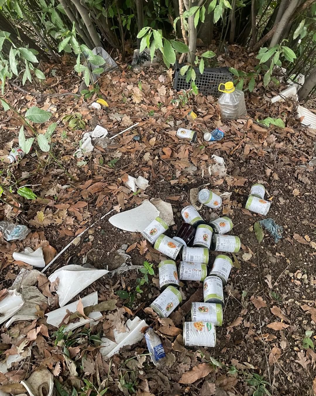 Altavilla Silentina, pacchi alimentari gettati via. Cembalo: «Inaccettabile. Chi non ne ha bisogno, rinunci»