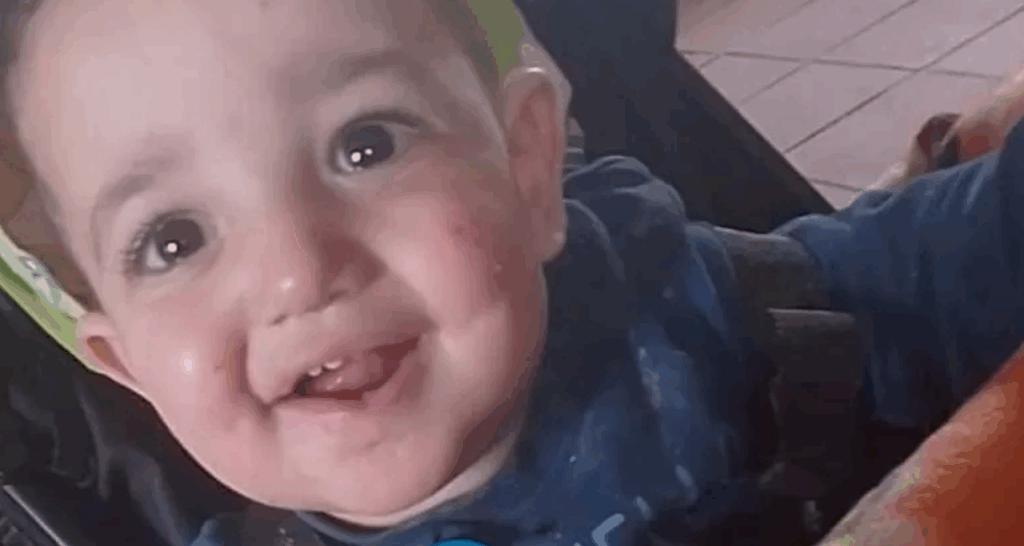 Eboli, bambino morto sbranato dai pitbull: al via il processo