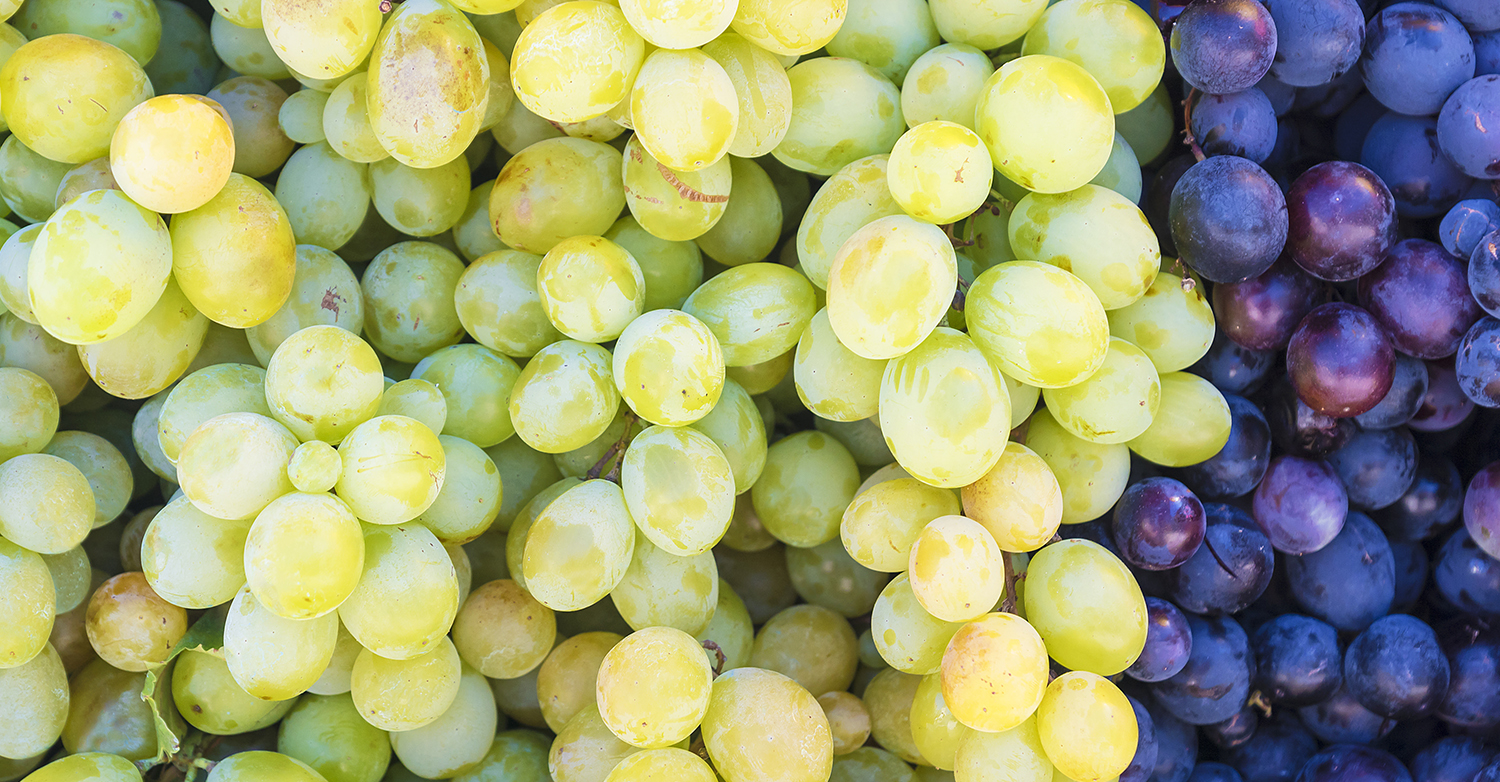 L’uva, preziosa alleata di salute 