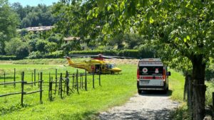 Cilento, tragedia nei campi: muore un uomo colto da malore mentre raccoglie le olive