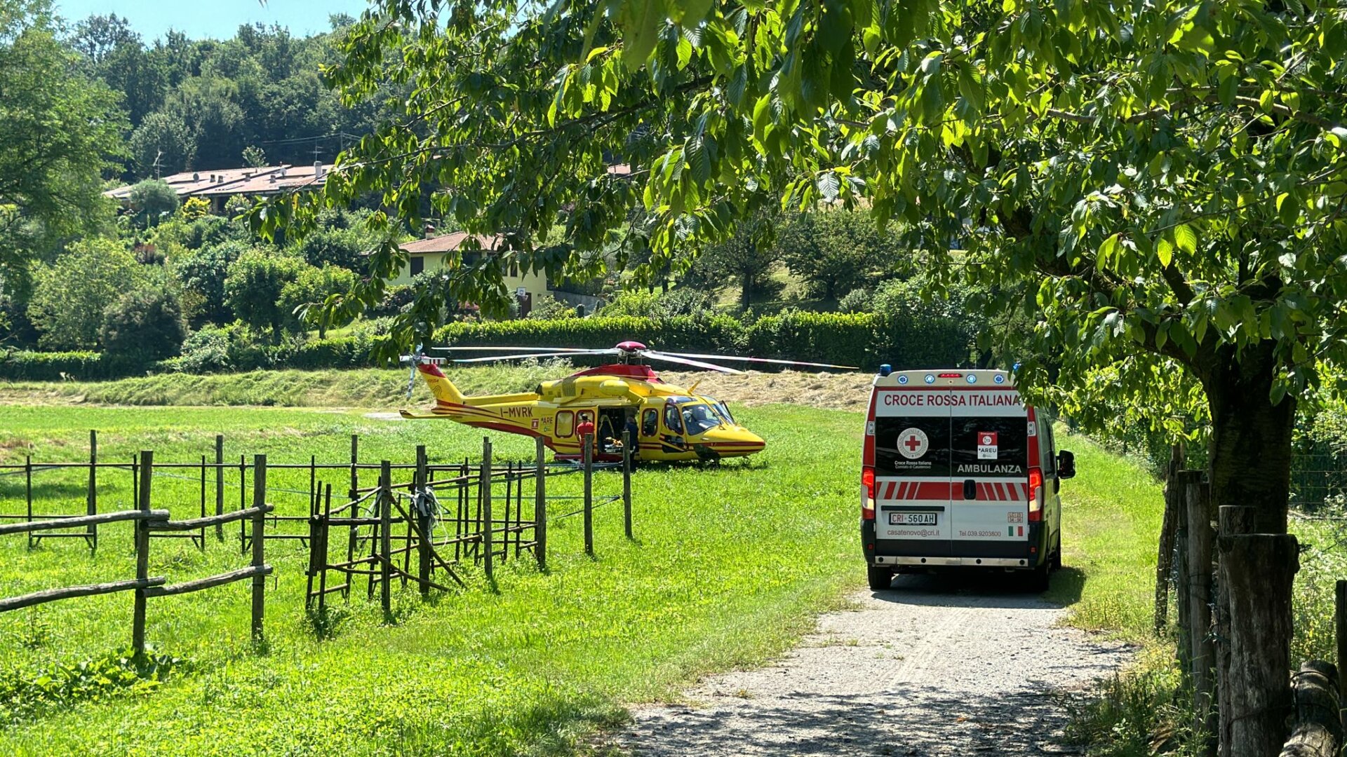 Cilento, tragedia nei campi: muore un uomo colto da malore mentre raccoglie le olive