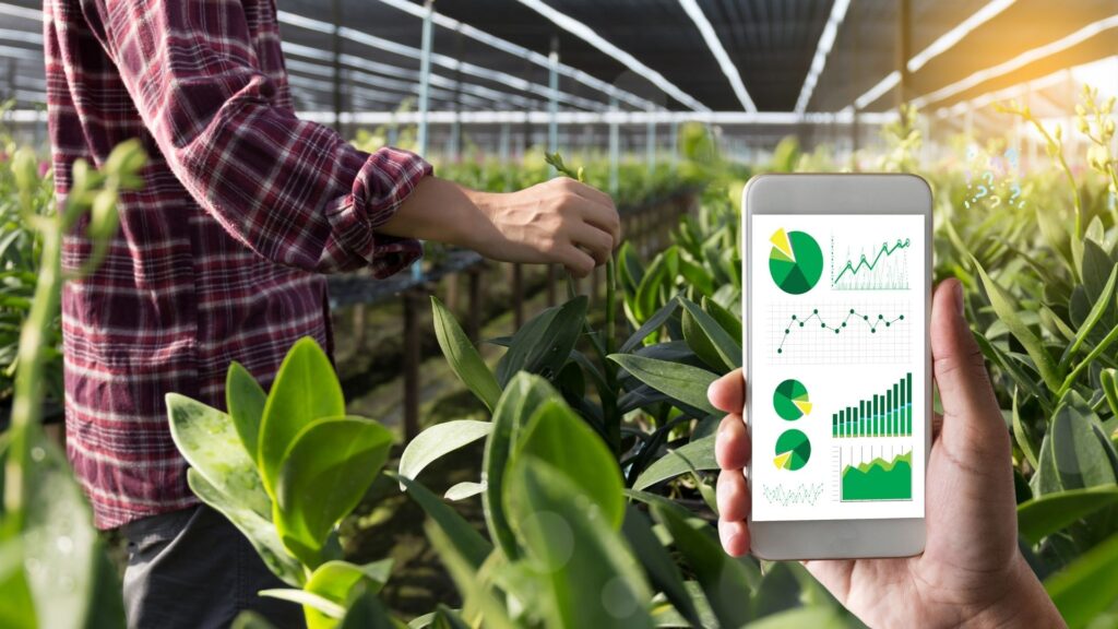 Agricoltura digitale, nasce il robot “contadino” per monitorare campi e allevamenti