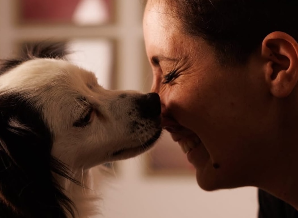 Happy Dogs a Casalvelino Marina: amore, coccole e toelettatura professionale per i pelosetti