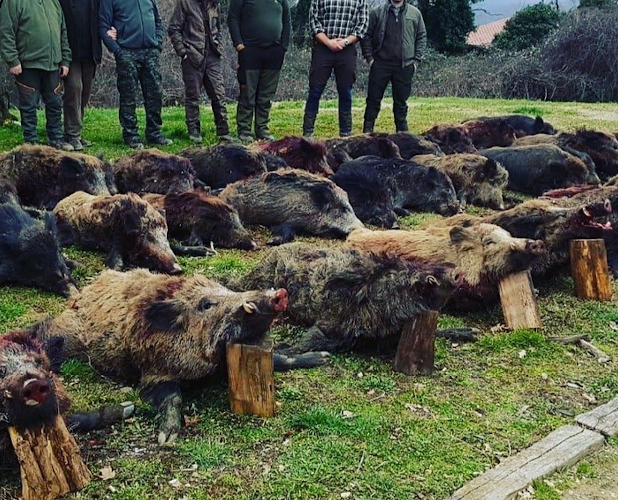 Altavilla Silentina, spari a bordo strada: sono cacciatori di cinghiali. Denunciati