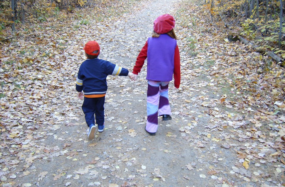 La “casa nel bosco” e il caso della famiglia isolata: cosa prevede la legge italiana per scuola, minori e obblighi educativi