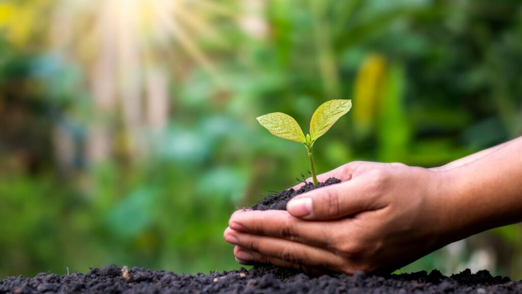 Sant’Arsenio, al via “Armonie sostenibili”: il nuovo progetto di educazione ambientale