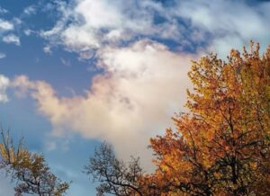 Ponte di Ognissanti tra sole e nuvole: nel Cilento weekend mite, ma peggiora da lunedì