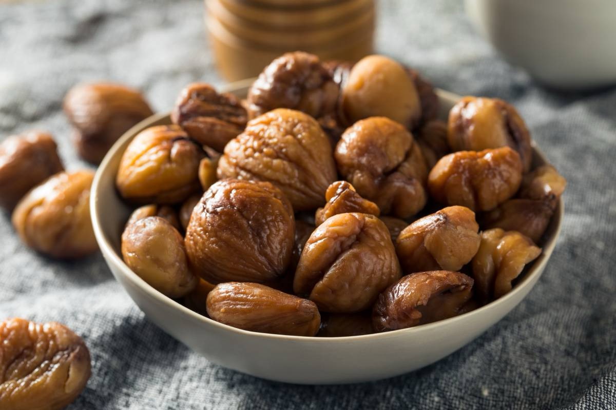 Castagne, il gusto dell’autunno: dalla brace alla crema, tutti i modi per cucinarle e valorizzarle in cucina