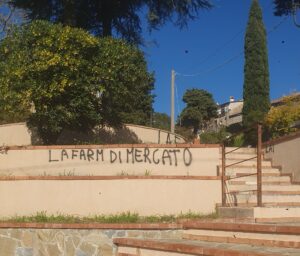 Perdifumo, vandali in azione: scritte e raid. Sindaco: «Ora basta»