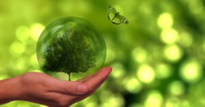Transizione ecologica: cosa significa e perché è cruciale oggi