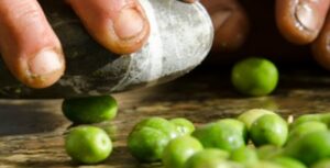 Le olive ammaccate del Cilento: piccoli frutti, grande tradizione mediterranea