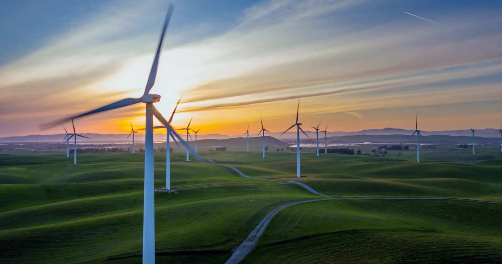 Transizione ecologica: leggi, obiettivi e strumenti per un futuro sostenibile