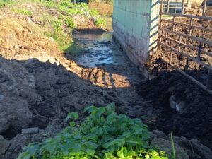 Smaltivano rifiuti speciali in modo illecito: blitz all’interno di un’azienda Bufalina di Capaccio