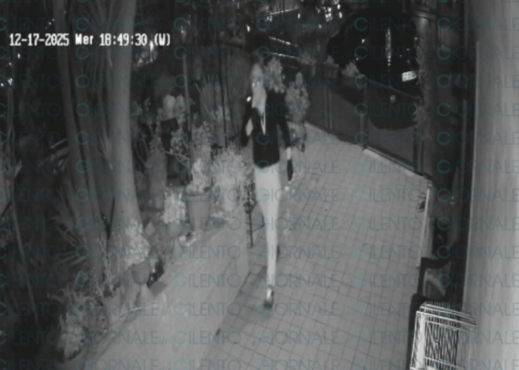 Segnalazioni di ladri nel Cilento, le foto fanno il giro del web: «Girano su un’Audi nera»