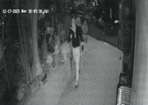 Segnalazioni di ladri nel Cilento, le foto fanno il giro del web: «Girano su un’Audi nera»