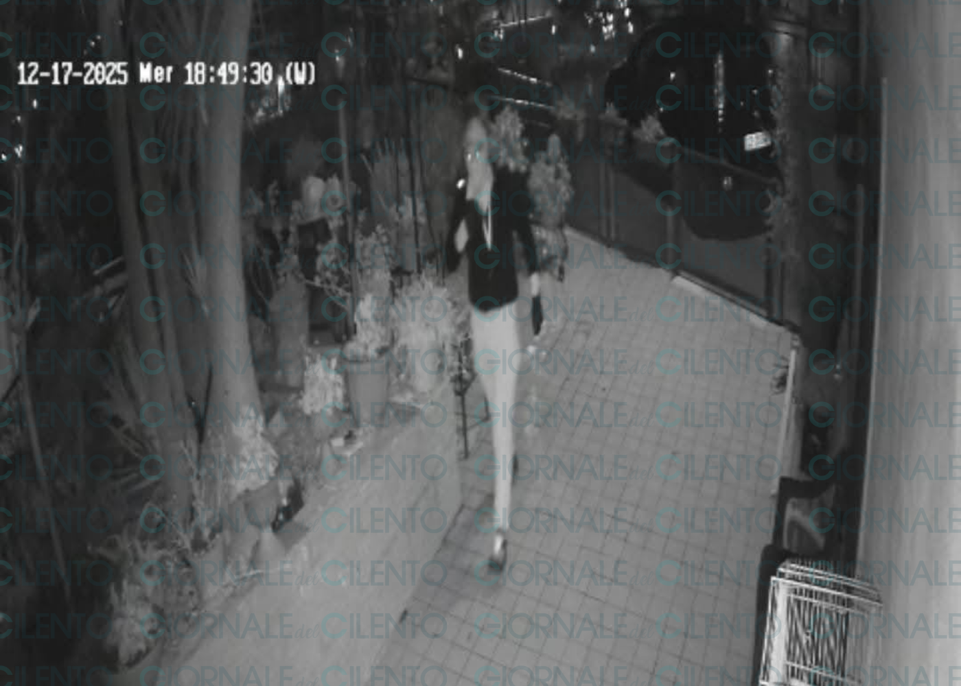 Segnalazioni di ladri nel Cilento, le foto fanno il giro del web: «Girano su un’Audi nera»