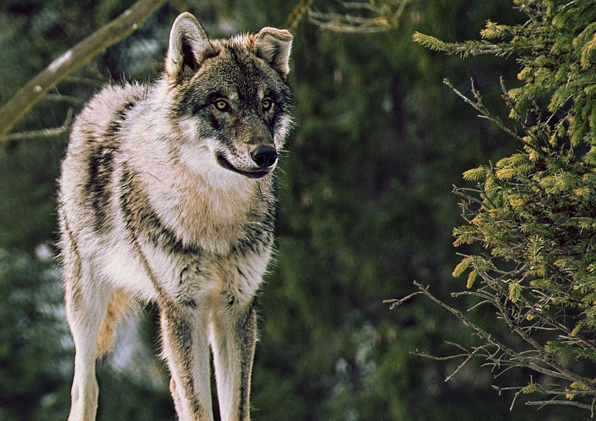 Il Parco Nazionale del Cilento, presidio di biodiversità anche d’inverno