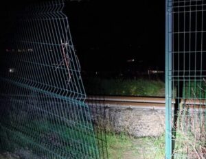 Tentato blitz notturno nel Cilento: tre sconosciuti messi in fuga dai cani da guardia