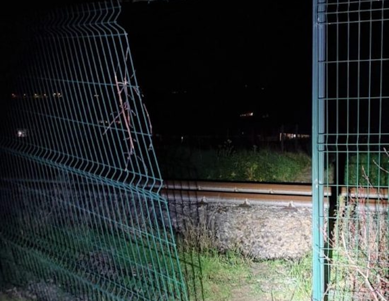 Tentato blitz notturno nel Cilento: tre sconosciuti messi in fuga dai cani da guardia