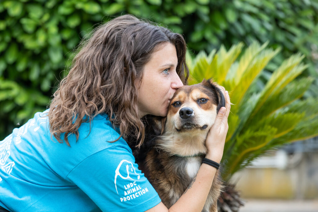 ‘Un inverno senza gabbie’, parte la campagna Lndc Animal Protection. L’appello: «Visitate il rifugio a Cava dei Tirreni»