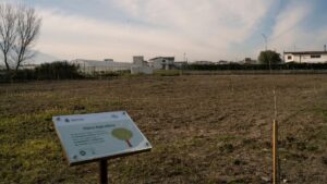 Angri: dall’area umida alla barriera verde contro l’inquinamento