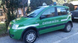 Futani, manufatto abusivo nel Parco: scatta l’ordine di demolizione